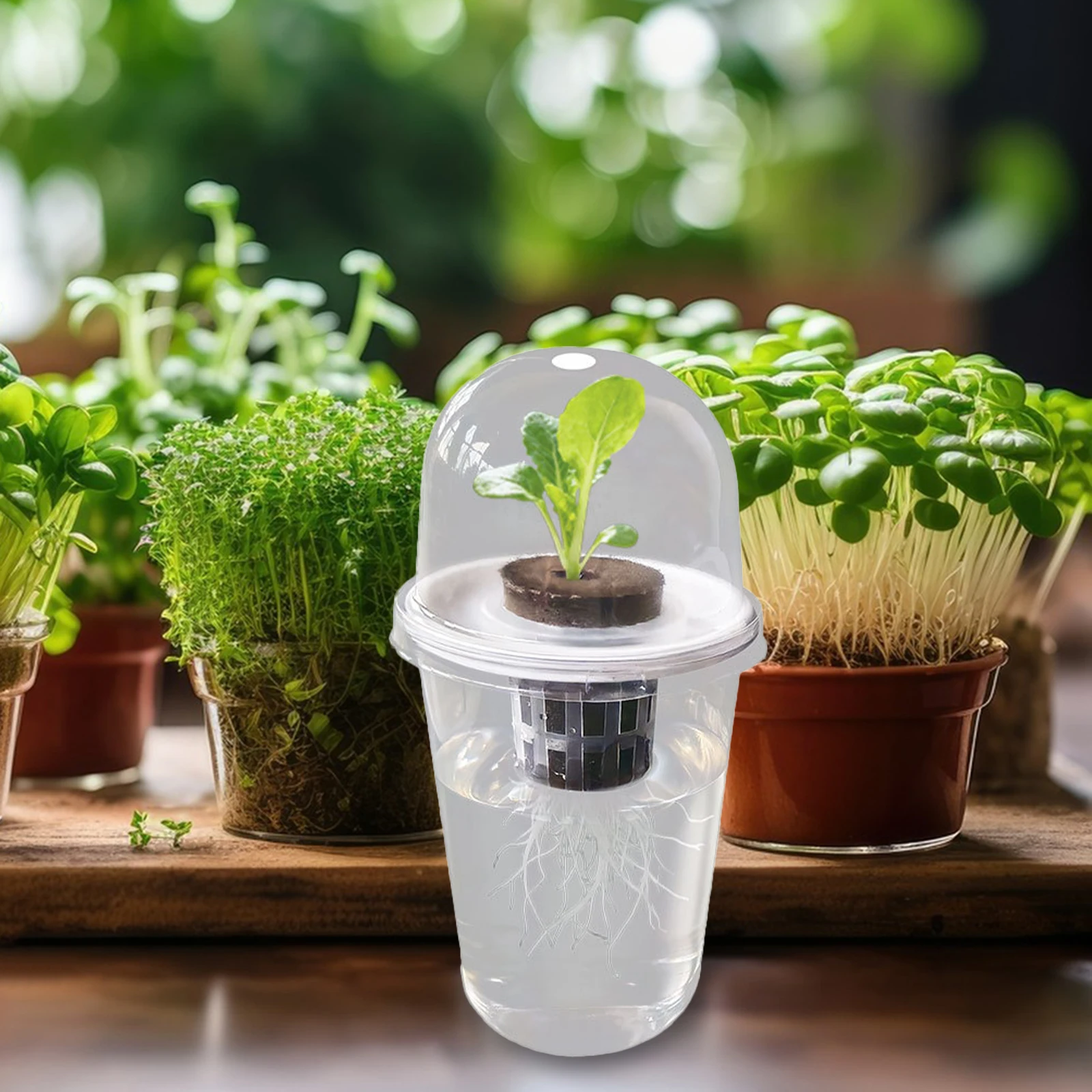 Kit de sistema de cultivo hidropónico de plástico, macetero de semillas reutilizable, cestas de plántulas, tazas transparentes con vista de raíz, cultivo de suculentas