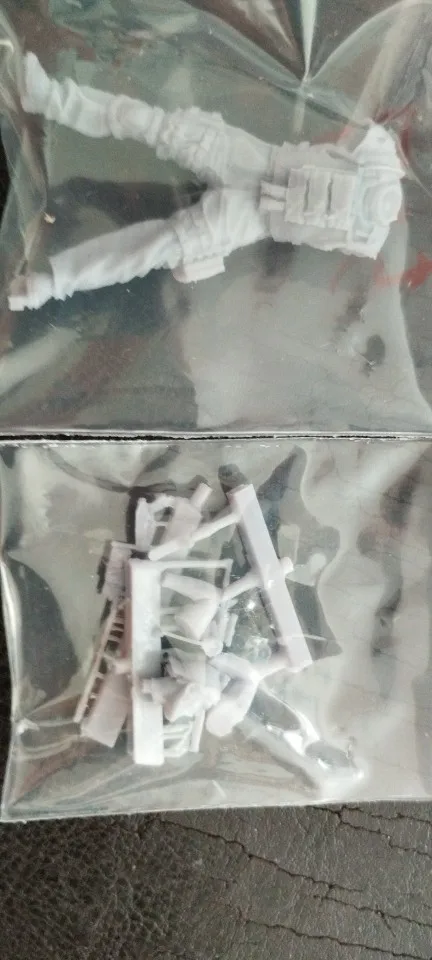 Buyer photo of this resin kit