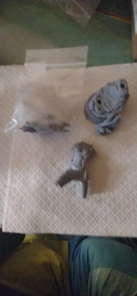 Buyer photo of this resin kit