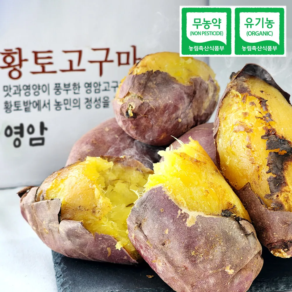 Yeongam Hwangto patata dulce miel premium patata dulce ecológica sin pesticidas alto contenido de azúcar orgánico calabaza dorada de alta calidad lavada 1 kg 2 kg 4 kg 10 kg