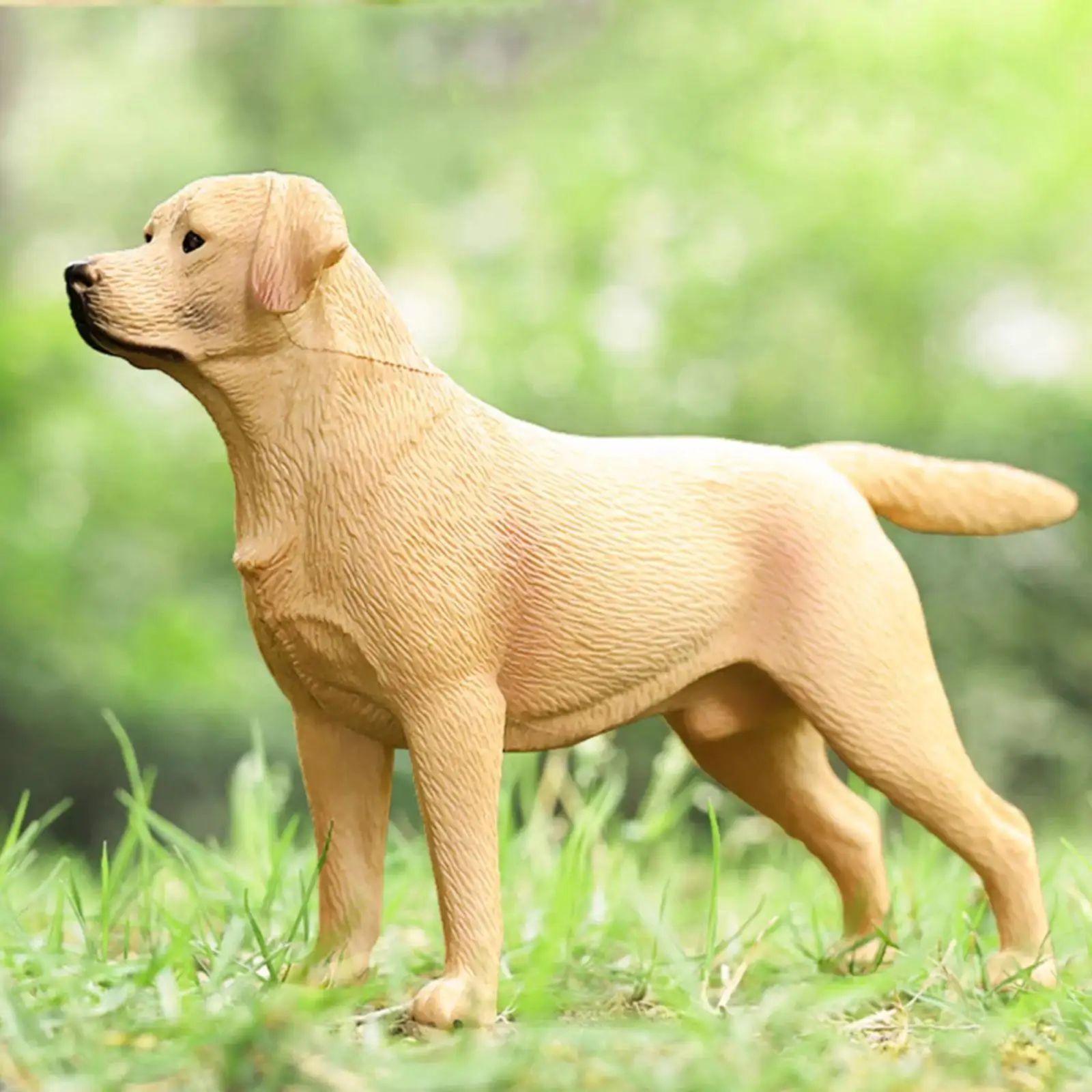 1/6 الكلب الشكل الحيوان تمثال ديوراما مصغرة تخطيط واقعية لعبة تعليمية الكلب تمثال Playset مصغرة المشهد نموذج