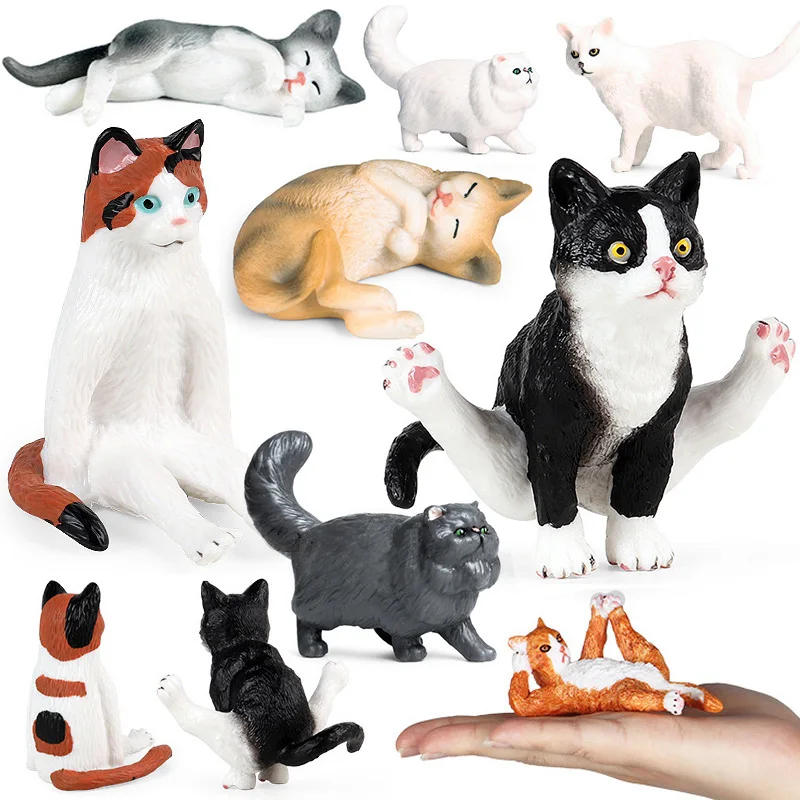 Les avantages du chat perse sur AliExpress pour améliorer votre expérience d'achat en ligne