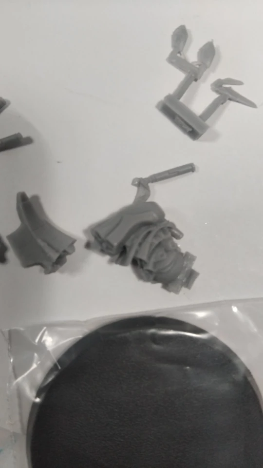 Buyer photo of this resin kit