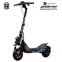 Vinyl for Segway Zt3 Pro