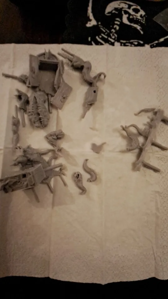Buyer photo of this resin kit