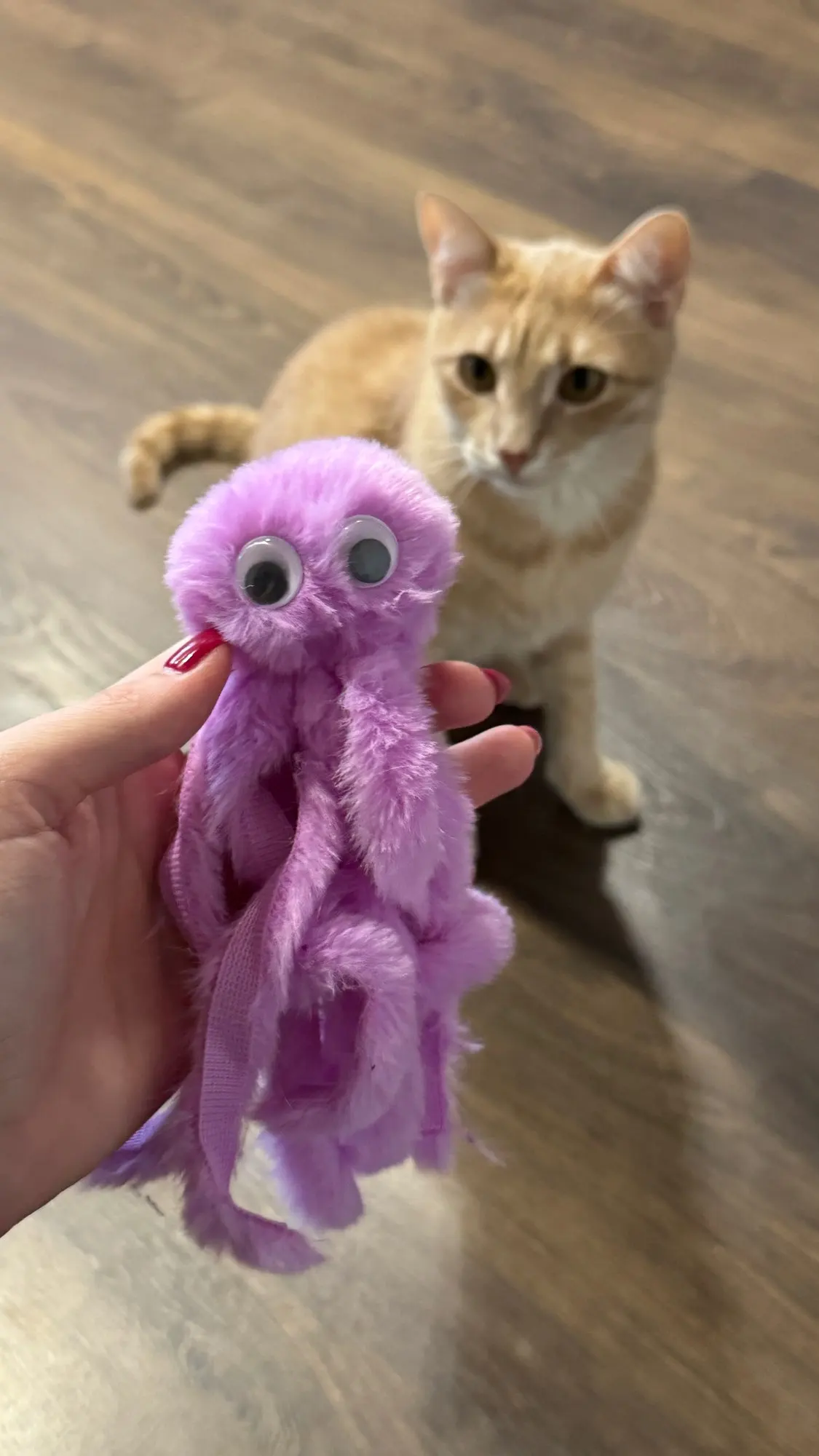 Photo envoyée par un acheteur