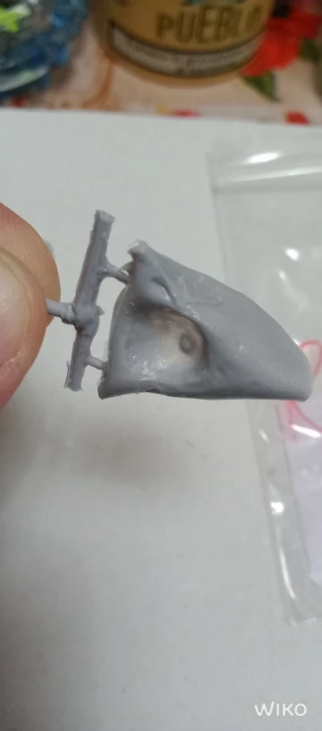 Buyer photo of this resin kit