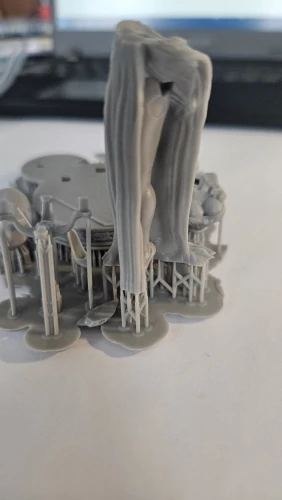 Buyer photo of this resin kit