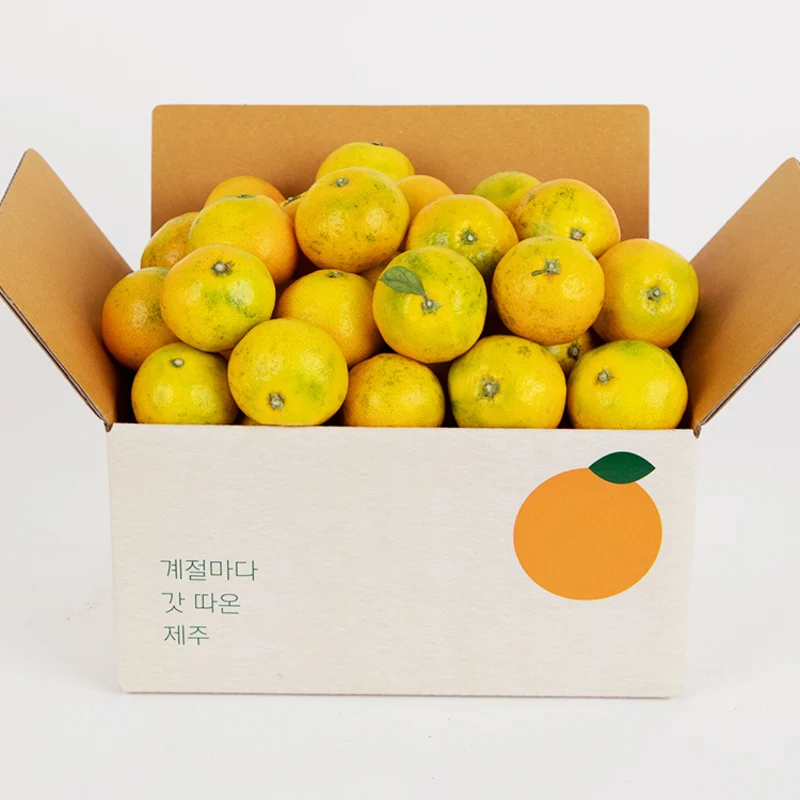 Jeju NoJi Citrus (2S-M) 3kg 5kg 9kg