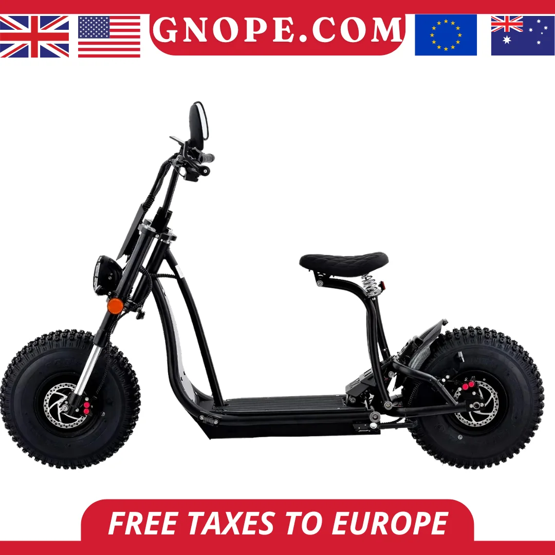 Electric Cruiser Motorcycle 1500w 2000w High Speed Scooters Fat Tire Electric Scooter Adult Motorbike