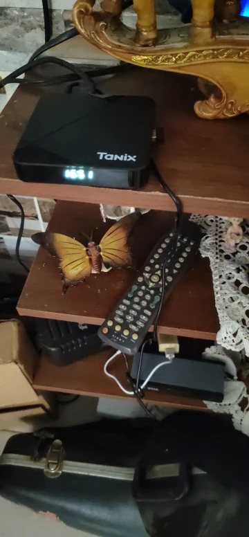 Tanix TX5 Android 14 TV Box Amlogic S905Y5 2.4G 5G Wifi BT photo review