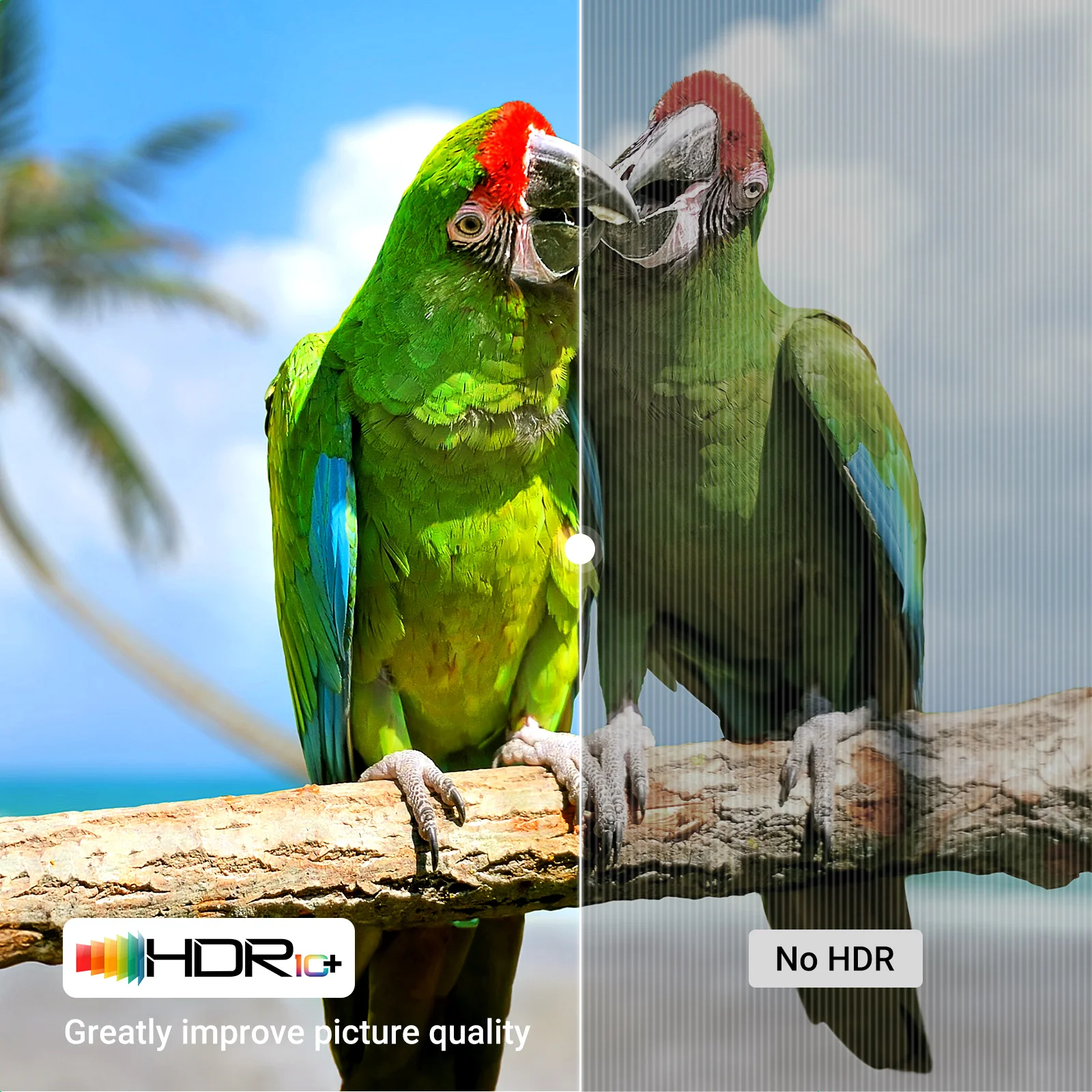 UGREEN HDMI Cable 8K/60Hz — HDCP & 3D, for TV / Xiaomi Box / PC/Laptop 3