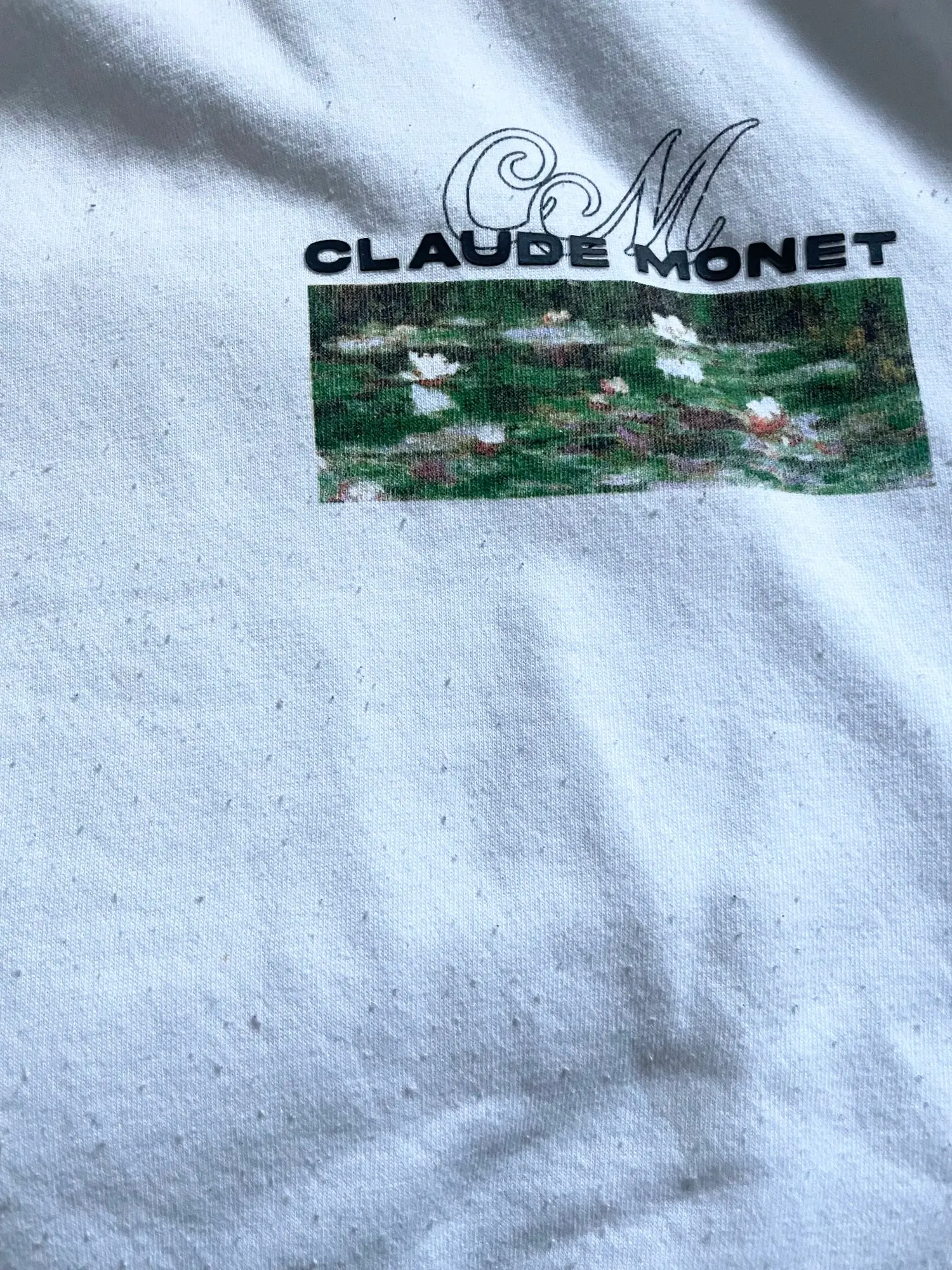 Customer review photo