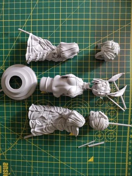 Buyer photo of this resin kit