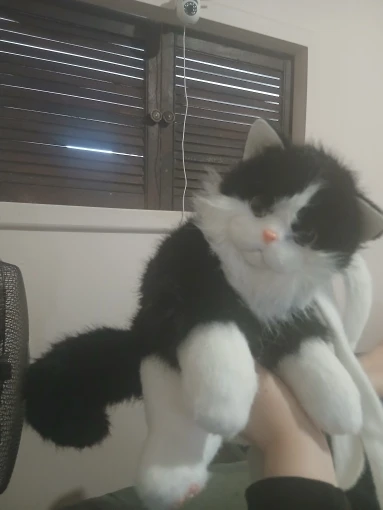 리뷰 사진
