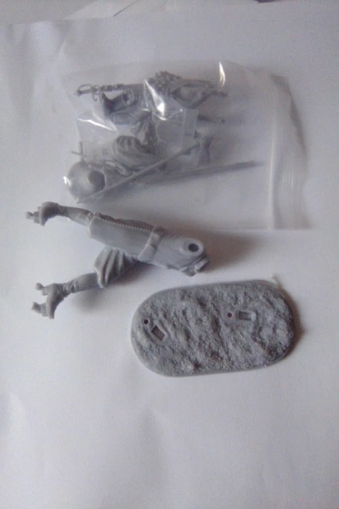 Buyer photo of this resin kit