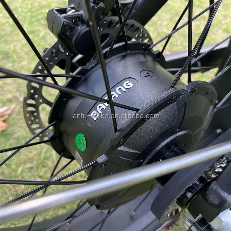 Bicicleta Elétrica Lantu de Alta Qualidade 20 Polegadas 800W Dobrável com Sensor de Torque