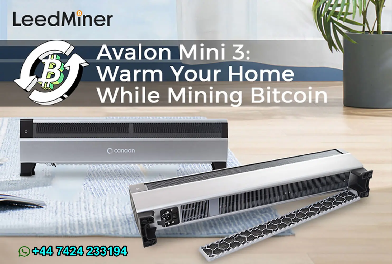 Vendas promocionais mais vendidas da DC! ✨ ✅   Minerador Canaan Avalon Mini 3 Bitcoin - Compre 5 e ganhe 3 grátis