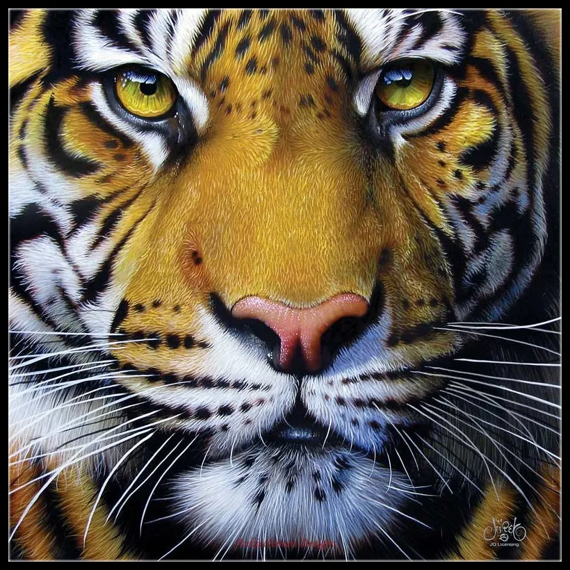 Golden Tiger Face - Counted Cross Stitch Kits - DIY Handmade Needlework Embroidery 14 CT Aida Cross Stitch Sets DMC Color