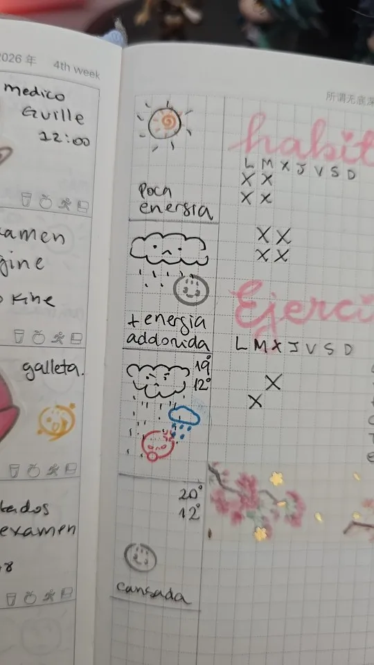 실물 포토 리뷰