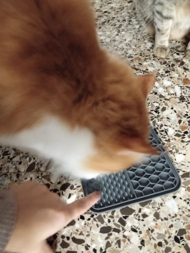 Customer review photo for Dog Lick Mat with Suction Cups