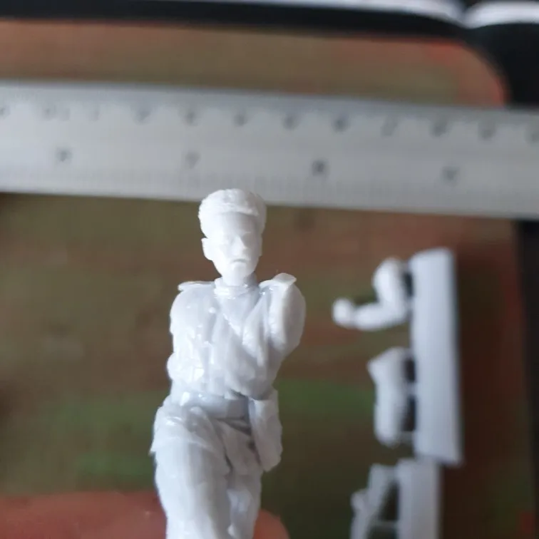 Buyer photo of this resin kit