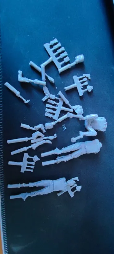 Buyer photo of this resin kit