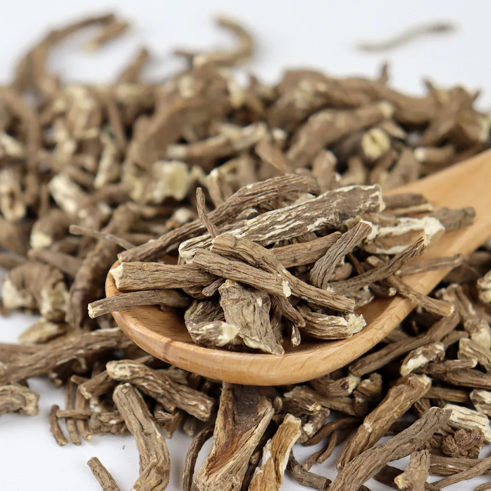 Té de raíz de Angelica coreano tipo naturaleza Angelica en polvo 300g