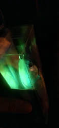 Imagen de reseña 4