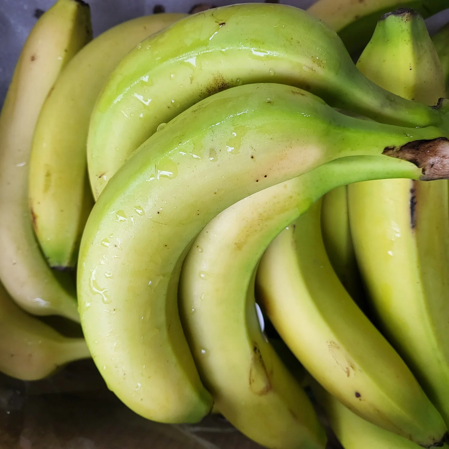 [My Daldang] pisang Waktu Nyata 3kg (sekitar 20 buah)