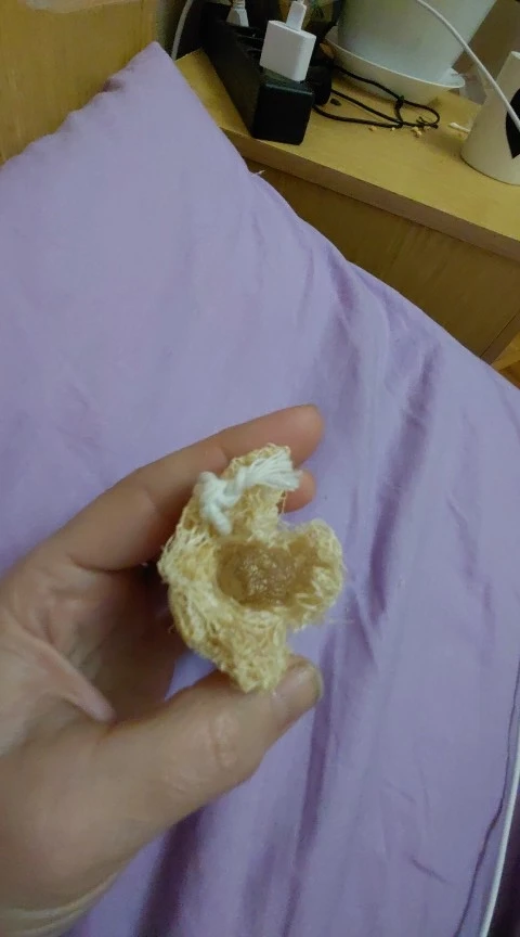실물 포토 리뷰