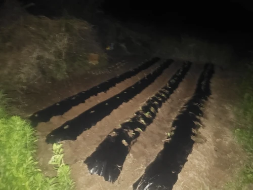리뷰 사진