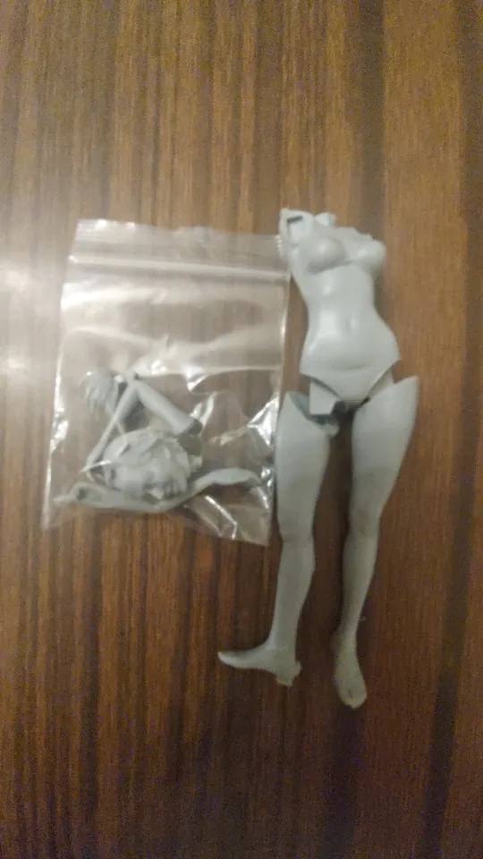 Buyer photo of this resin kit