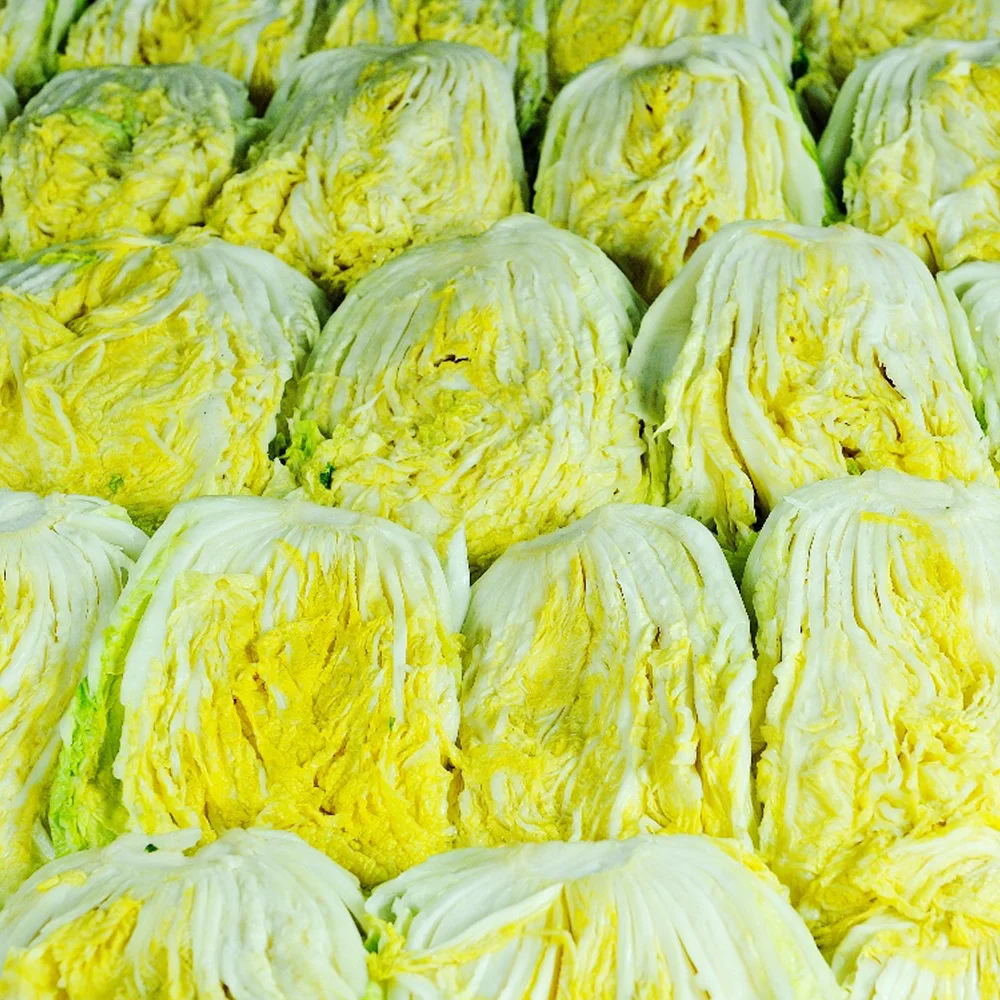 시원포기김치 10kg (수입) Kimchi - 3