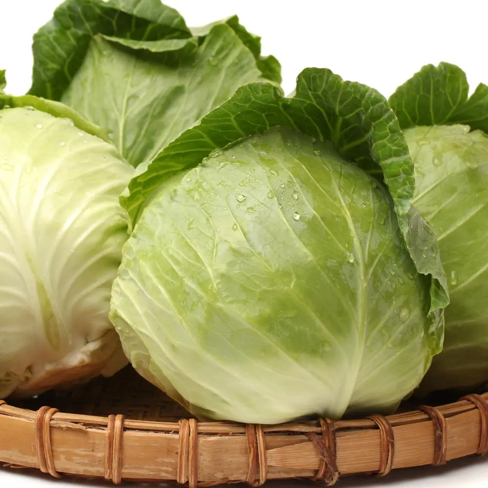 [Sanjeong Village] Hauskohl, 1 Kopf (um 3 kg)