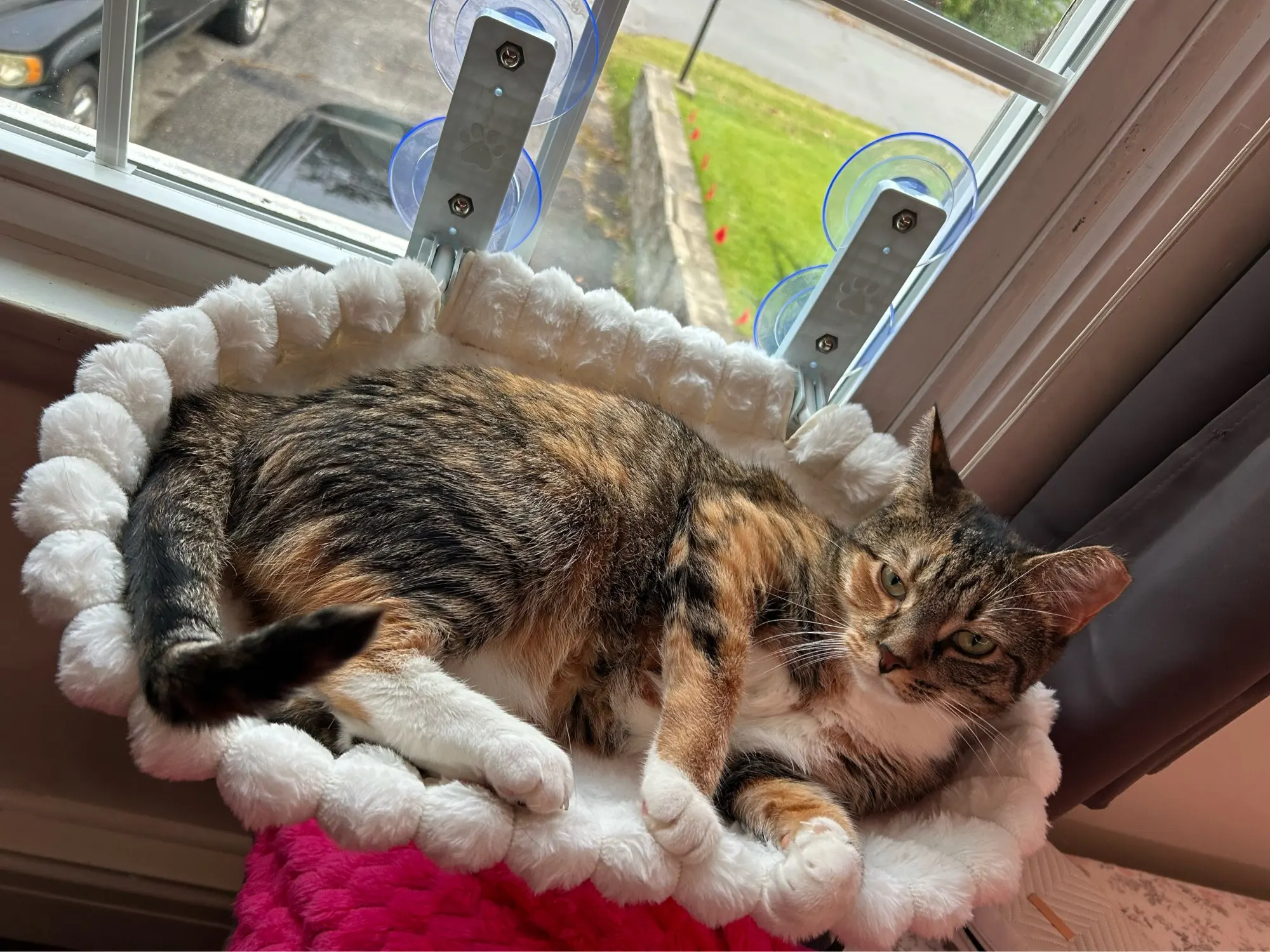 Customer review photo