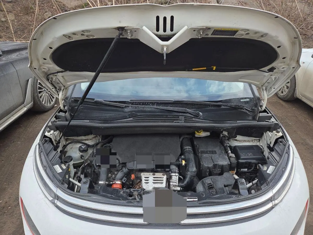 

2PCS Hood Damper For Citroen C3 Aircross II 2R:2C 2017 2018-2023 Front Bonnet Gas Struts Lift Support Shock Absorber Piston Rods