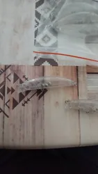 Imagen de reseña 2