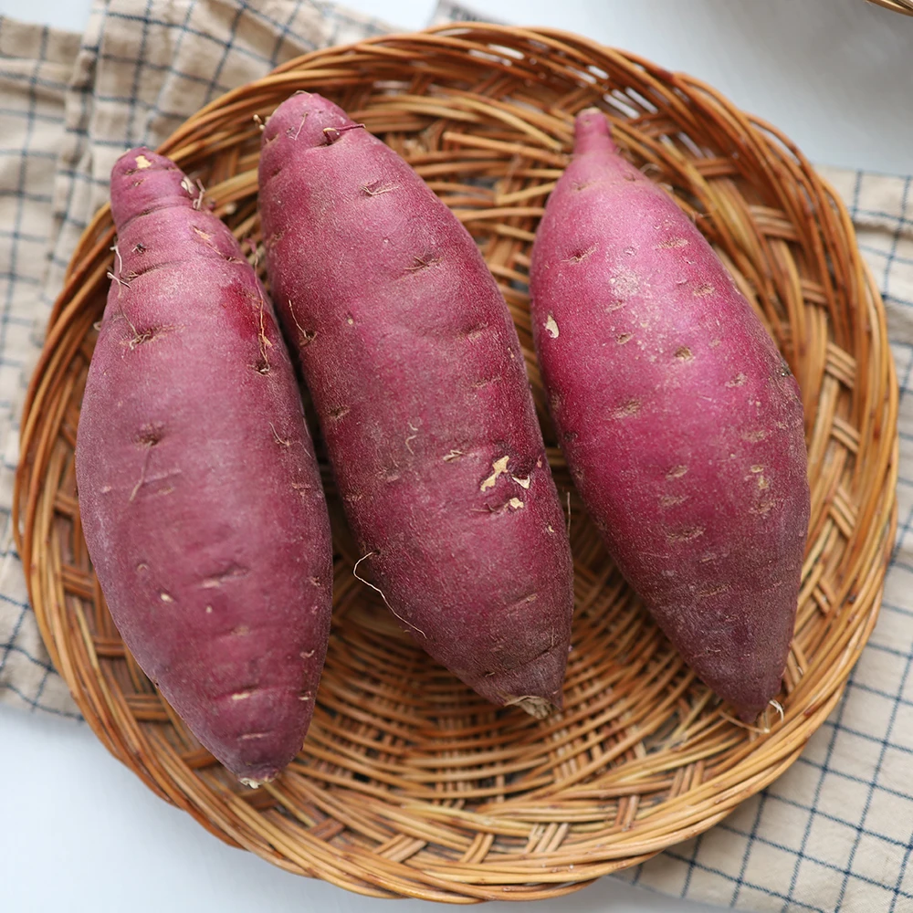 세척 꿀 고구마 상