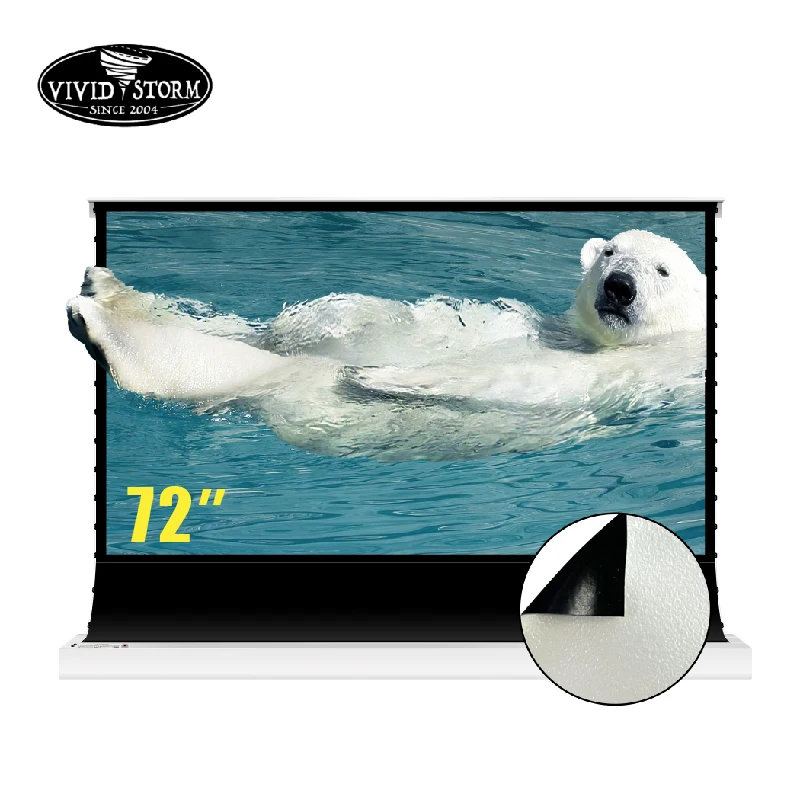 

VIVIDSTORM 72 Inch Electric Floor Screen Pearlescent White Cinema Plu Ambient Light Rejecting for Normal Projector