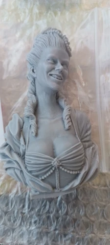 Buyer photo of this resin kit