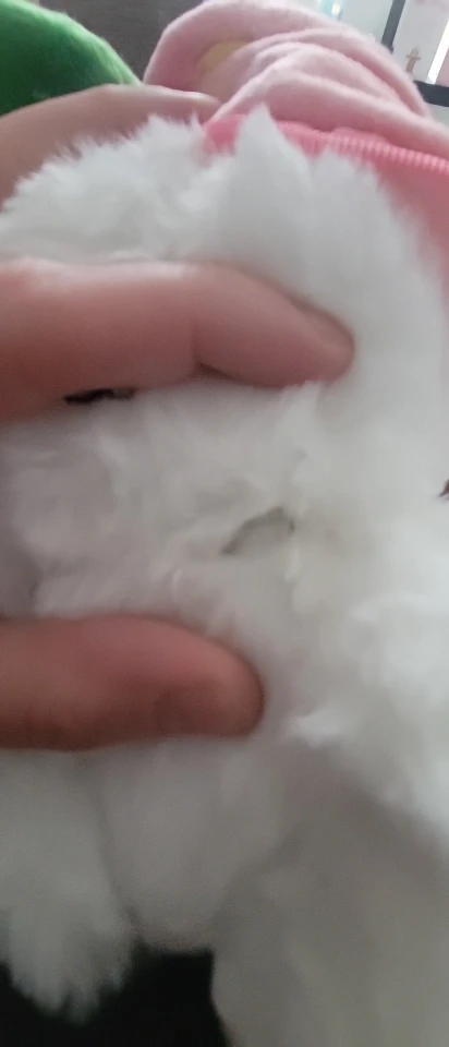 Customer review photo