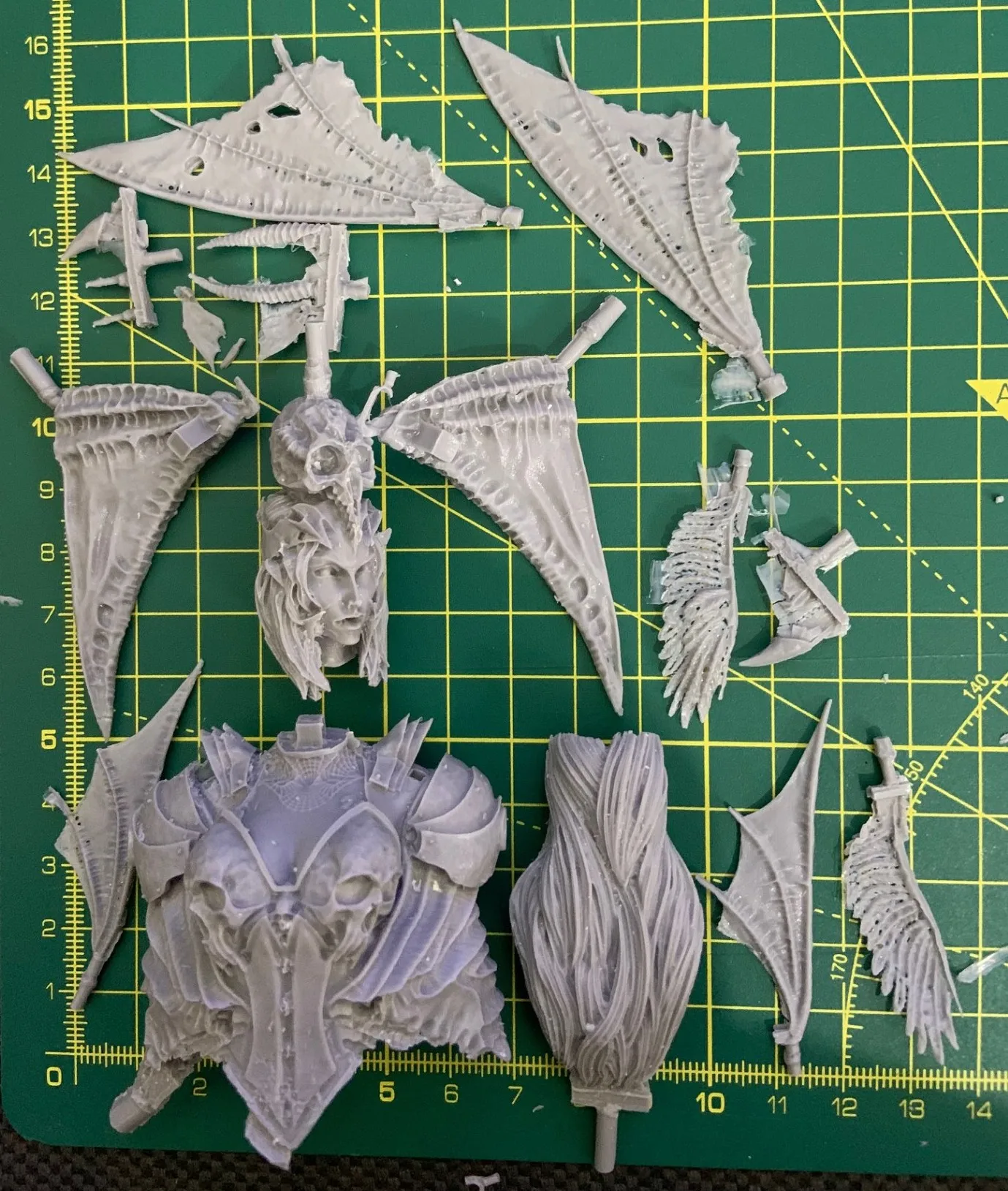 Buyer photo of this resin kit