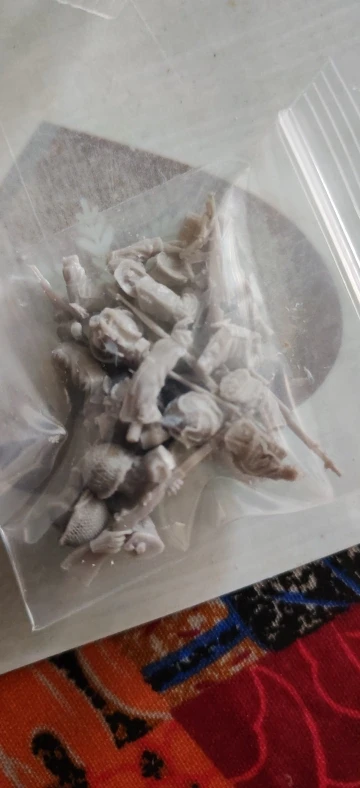 Buyer photo of this resin kit