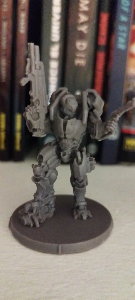Buyer photo of this resin kit