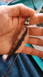 Imagen de reseña 2