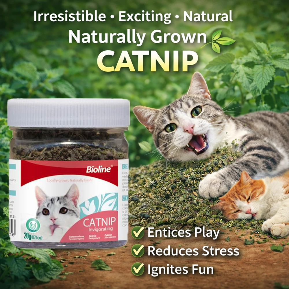 

Catnip for Cats Natural Dried Cat Mint Leaves 20g Organic Catnip Treat Relieves Stress Encourages Play Kitten Toys