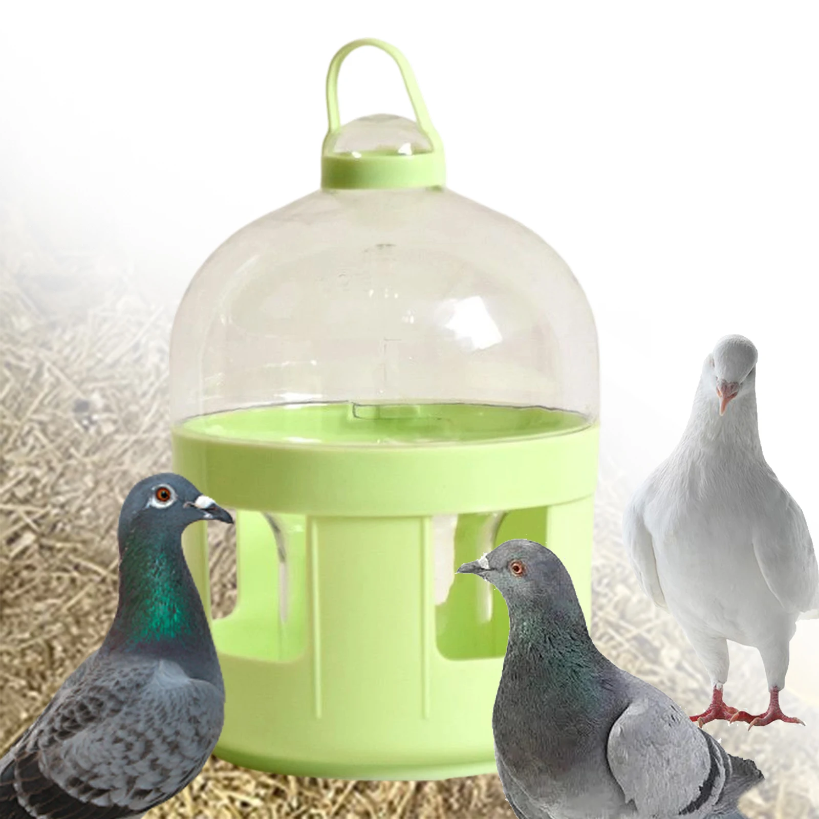 Thumbnail 3 - #75 Best Bird Supplies to Buy In 2026