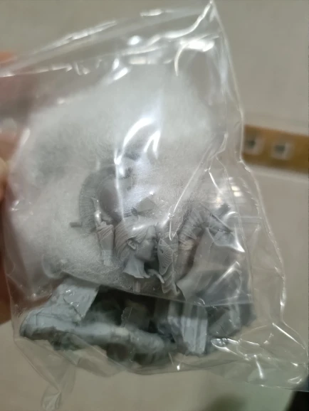 Buyer photo of this resin kit