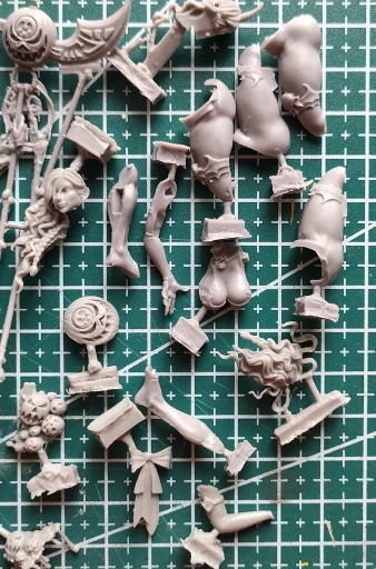 Buyer photo of this resin kit